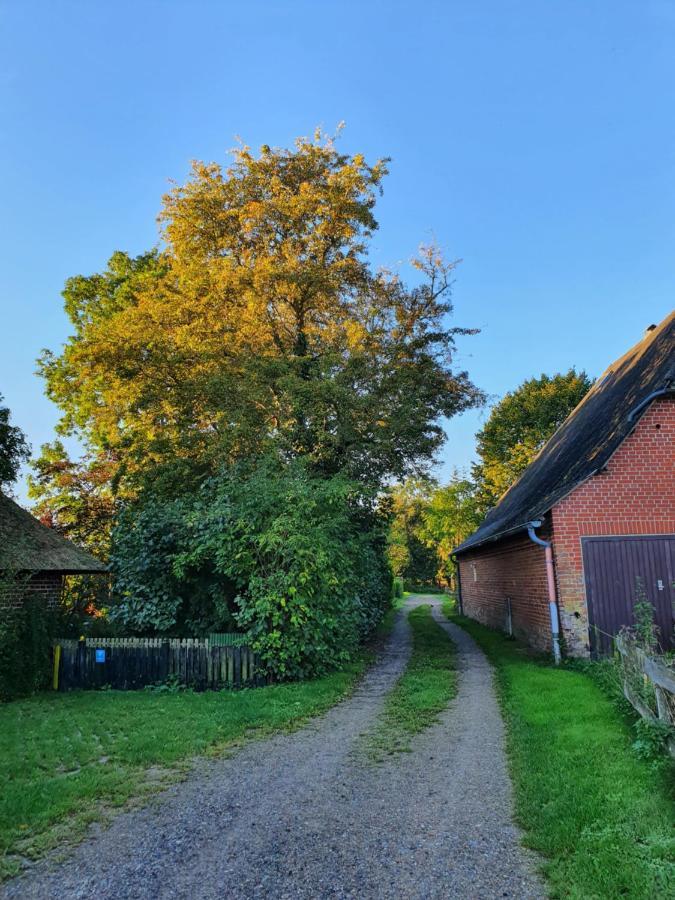 Ostssespitze Villa Riepsdorf Dış mekan fotoğraf